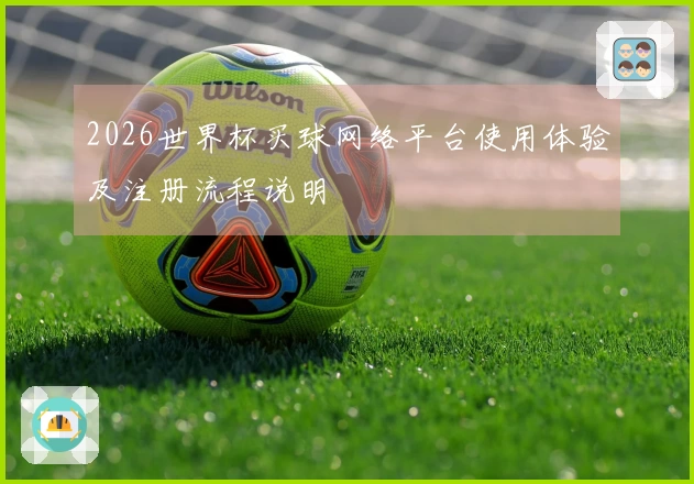 2026世界杯买球网络平台使用体验及注册流程说明