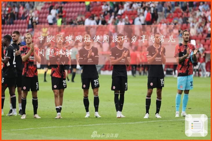 中欧买球网址使用技巧分享与常见问题详解