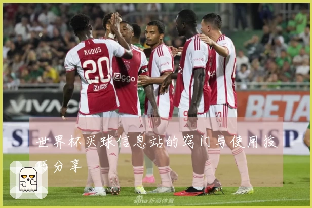 世界杯买球信息站的窍门与使用技巧分享