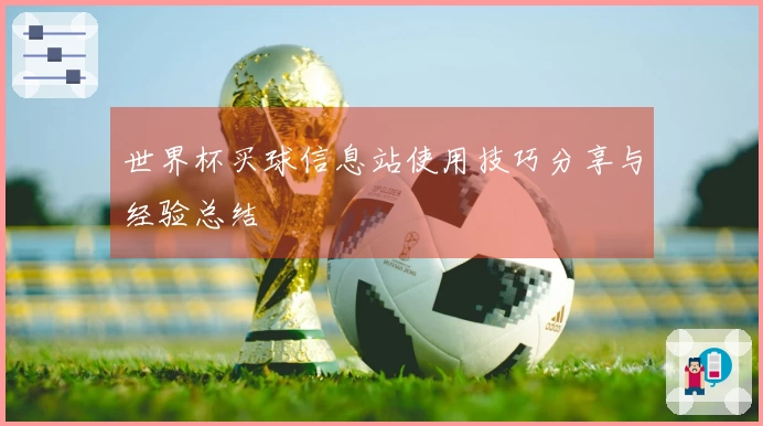 世界杯买球信息站使用技巧分享与经验总结