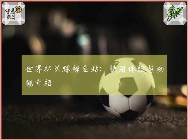 世界杯买球综合站:使用体验与功能介绍