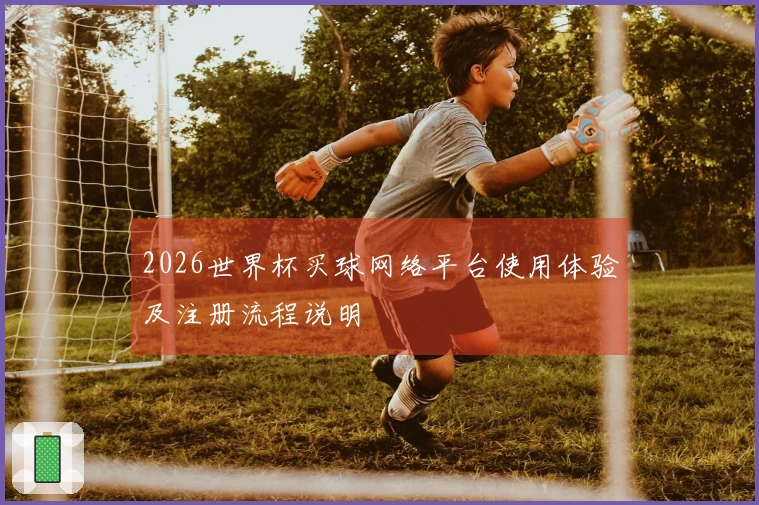 2026世界杯买球网络平台使用体验及注册流程说明