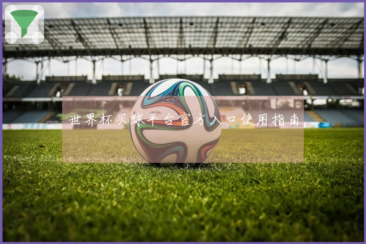 世界杯买球平台官方入口使用指南