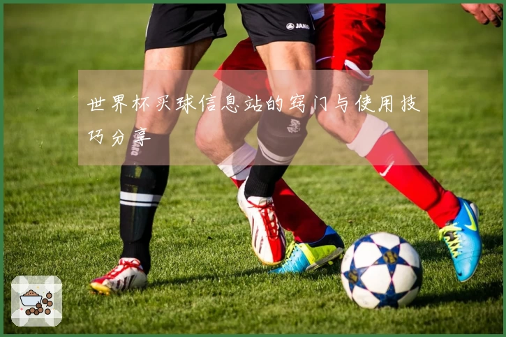 世界杯买球信息站的窍门与使用技巧分享