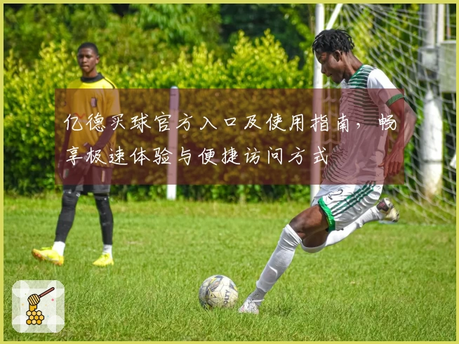 亿德买球官方入口及使用指南，畅享极速体验与便捷访问方式