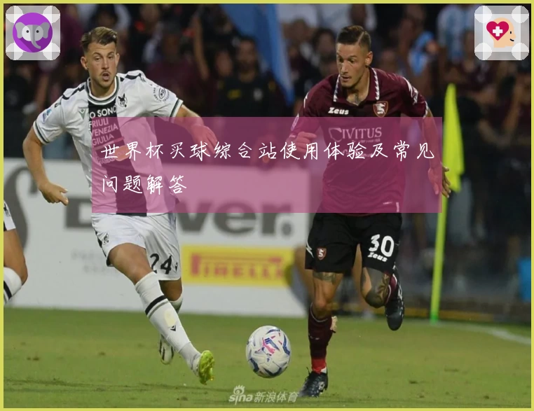 世界杯买球综合站使用体验及常见问题解答