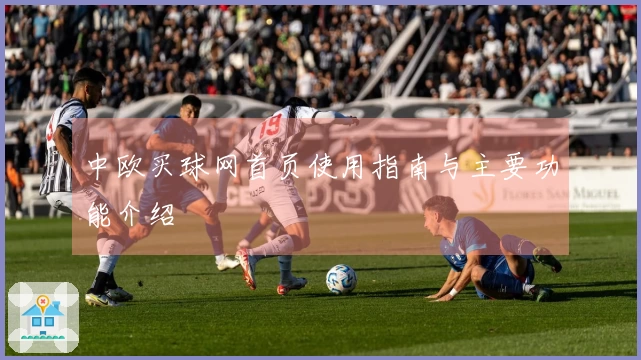 中欧买球网首页使用指南与主要功能介绍