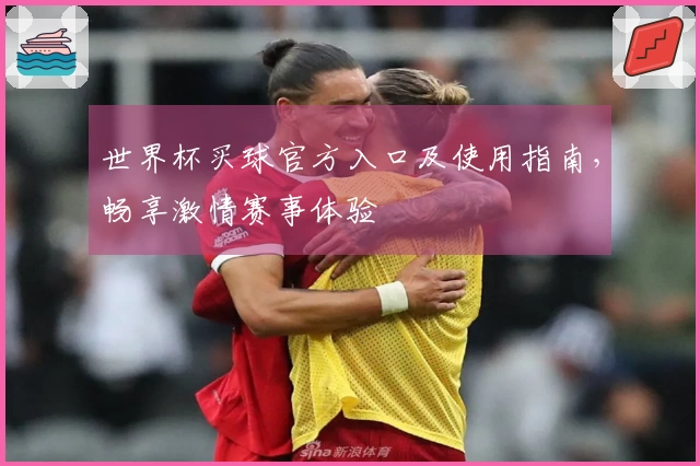 世界杯买球官方入口及使用指南，畅享激情赛事体验