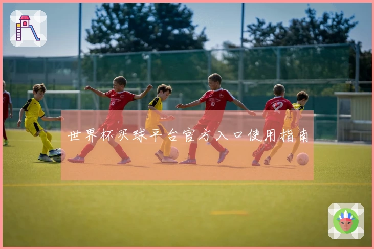 世界杯买球平台官方入口使用指南