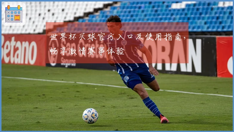 世界杯买球官方入口及使用指南,畅享激情赛事体验
