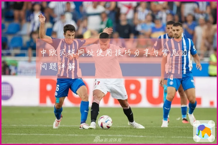 中欧买球网址使用技巧分享与常见问题详解