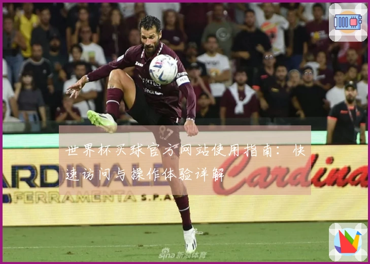 世界杯买球官方网站使用指南：快速访问与操作体验详解
