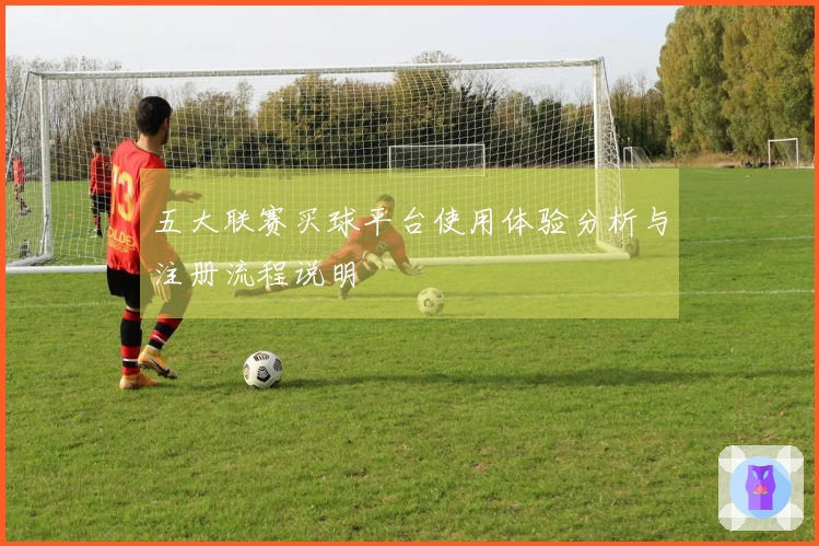 五大联赛买球平台使用体验分析与注册流程说明