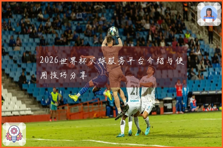 2026世界杯买球服务平台介绍与使用技巧分享