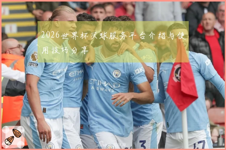 2026世界杯买球服务平台介绍与使用技巧分享